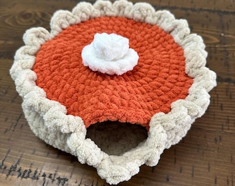 Pumpkin Pie Cozy Crochet Hide For Snakes and Small Animals Reptiles
