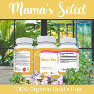 Lactation Products for Nursing Moms, Breastfeeding Support, Organic Breast Milk Production, Goat&#39;s Rue, Herbal Supplement for New Moms