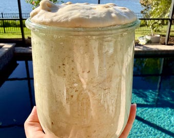 ORGANIC 1850s High Protein Artisan Fresh Sourdough STARTER Live Active 100 Grams in Glass Ball Mason Jar