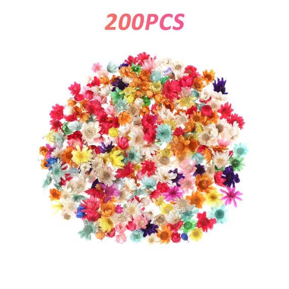 Real Dried Flowers For DIY Art Craft Epoxy Resin Candle Making Jewelry Glass Kit 