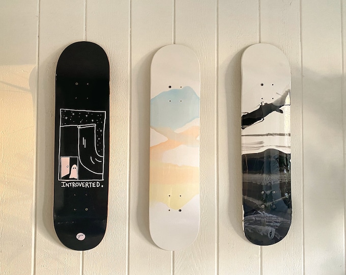 Contemporary Skateboard Wall Art