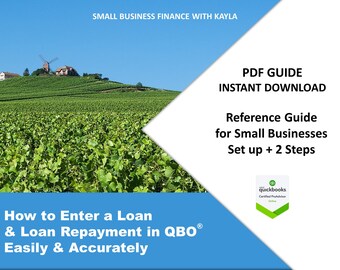 How to Record a Loan & Loan Repayment in QuickBooks Online - How to Split Principal and Interest - PDF Guide for Small Business Owners
