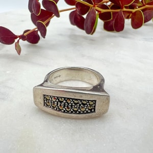 May include: A silver ring with a rectangular face filled with small, dark-colored stones. The ring has a wide band and a slightly aged appearance. The background includes a marble surface and a sprig of red leaves.