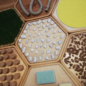 set of 7 sensory paths