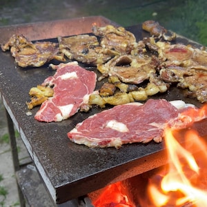 May include: A close-up shot of a grill with various cuts of raw and cooked meat. The raw meat is red with white marbling, while the cooked meat is brown and charred. Flames are visible at the bottom right, indicating a live fire.