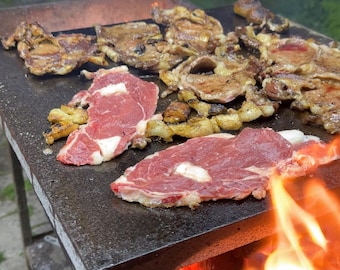 Pierre à pizza en basalte naturel : pierre de cuisson pour four, gril et barbecue (30 x 40 cm)