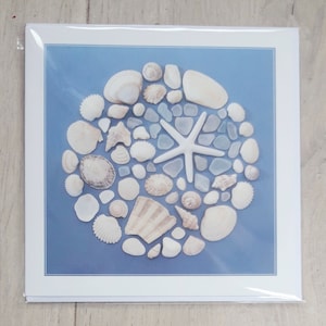 May include: A white starfish surrounded by a circle of seashells and sea glass on a light blue background.