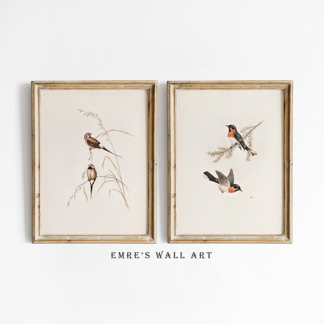 Vintage Bird Print Set: Rustic Farmhouse Wall Decor (digital Download ...