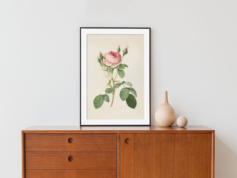 May include: A framed botanical illustration of a pink rose with green leaves and buds. The illustration is on a cream background and is framed in a black frame.