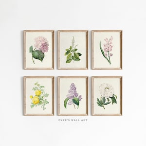 Flower Print Set of 6, Vintage Botanical Gallery Wall Set, Wildflower Art Prints, Floral Printable Wall Decor, Digital Downloadable Artworks