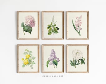 May include: Set of six botanical prints featuring various flowers in shades of pink, white, yellow, and purple. The prints are framed in a light wood frame and arranged in a grid pattern on a white wall. The text "EMRE'S WALL ART" is printed below the prints.