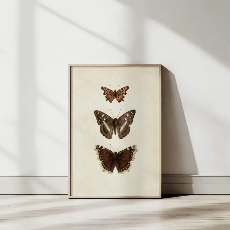 Three vintage butterflies illustration on beige textured background. The top butterfly has jagged wings in light brown, the middle one displays darker brown wings with white spots, and the bottom butterfly has deep brown wings with cream edges. A detailed antique-style sketch evoking natural history and timeless elegance.