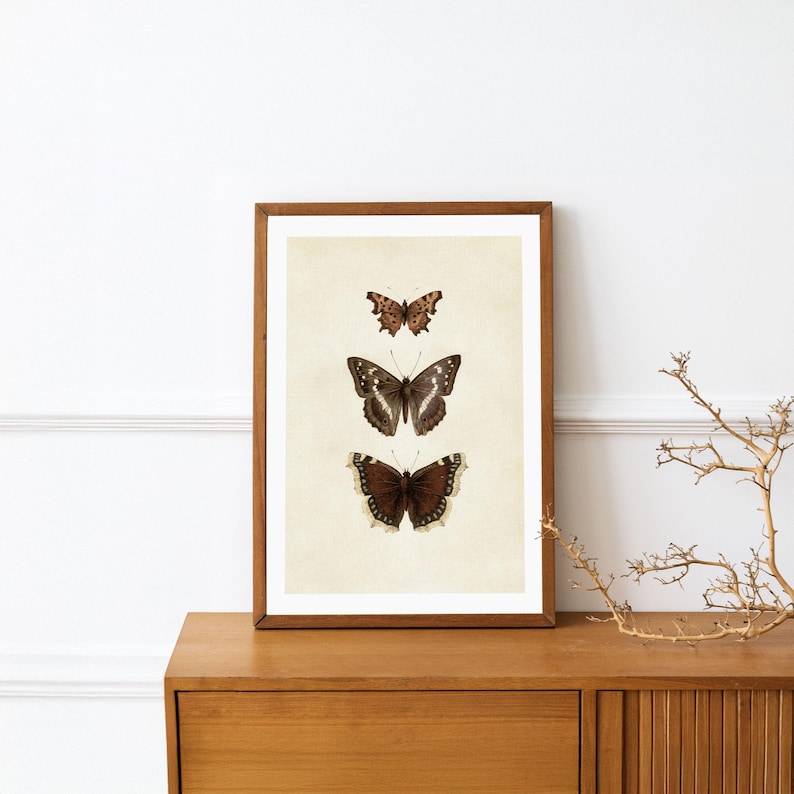 Three vintage butterflies illustration on beige textured background. The top butterfly has jagged wings in light brown, the middle one displays darker brown wings with white spots, and the bottom butterfly has deep brown wings with cream edges. A detailed antique-style sketch evoking natural history and timeless elegance.