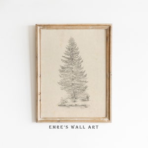 Vintage Tree Sketch Print, Neutral Rustic Tree Decor, Pine Tree Wall Art, Farmhouse Drawing Print, Printable Antique Wall Art