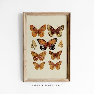 Butterfly Illustration Art Print, Vintage Insect Wall Decor, Printable Butterflies Sketch Art, Antique Butterfly Drawing Digital Download