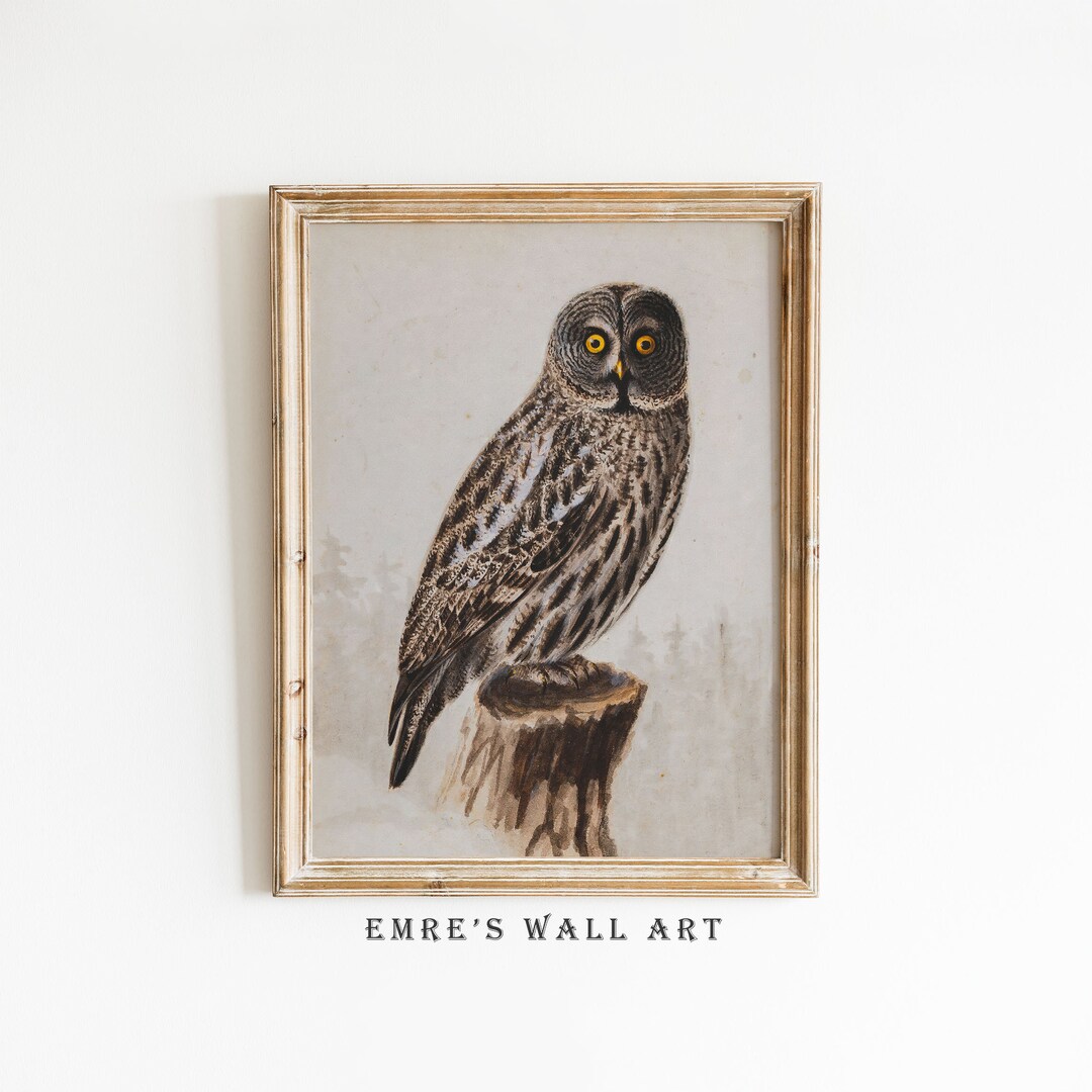 Owl Wall Art Print, Vintage Bird Painting, Sketch Watercolor Painting