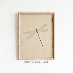 May include: A framed print featuring a detailed illustration of a dragonfly. The dragonfly is depicted in black against a beige background, with a distressed, light-colored wooden frame. The text "EMRE'S WALL ART" is printed at the bottom.