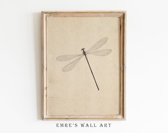 Vintage Dragonfly Sketch Art Print: Antique Drawing (Digital Download)