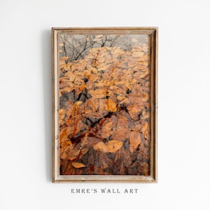 May include: A rectangular wall art piece in a light wood frame featuring a photograph of numerous fallen brown and orange autumn leaves submerged in water, with the text EMRE'S WALL ART printed in black at the bottom center of the frame.