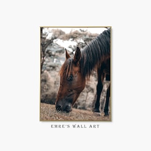 Brown Horse Photo Poster Print, Animal Landscape Wall Decor, Printable Horse Wall Art, Fine Art Farmhouse Print, Downloadale Aesthetic Art