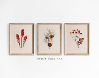 Vintage Winter Botanische Drucke Set: Antike Weihnachtsweihnachtskunst (Digitaler Download)