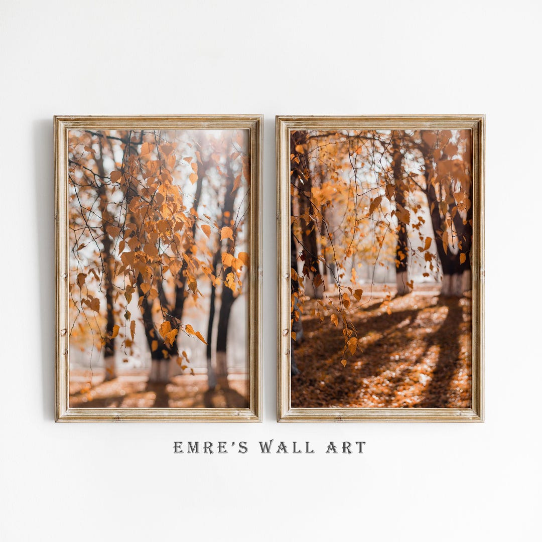 Autumn Forest Photo Print Set: Rustic Landscape Wall Art (digital ...