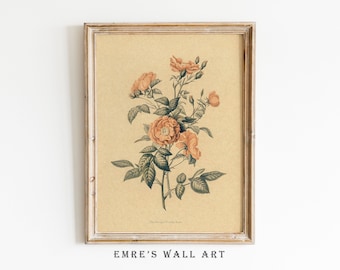 Stampa botanica di rose d'epoca: schizzo di un fiore antico (download digitale)