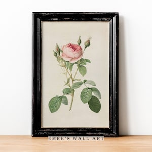 May include: A framed botanical illustration of a pink rose with green leaves and buds. The frame is black and the background is white. The text "EMRE'S WALL ART" is printed below the frame.