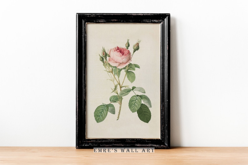 May include: A framed botanical illustration of a pink rose with green leaves and buds. The frame is black and the background is white. The text "EMRE'S WALL ART" is printed below the frame.