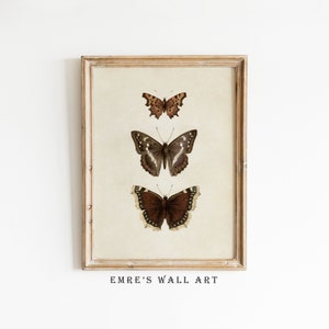 Butterfly Print, Butterfly Wall Art, Butterfly Sketch Art, Vintage Butterfly Print, Neutral Farmhouse Wall Decor, Antique Butterfly Drawing