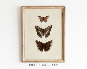 Butterfly Print, Butterfly Wall Art, Butterfly Sketch Art, Vintage Butterfly Print, Neutral Farmhouse Wall Decor, Antique Butterfly Drawing