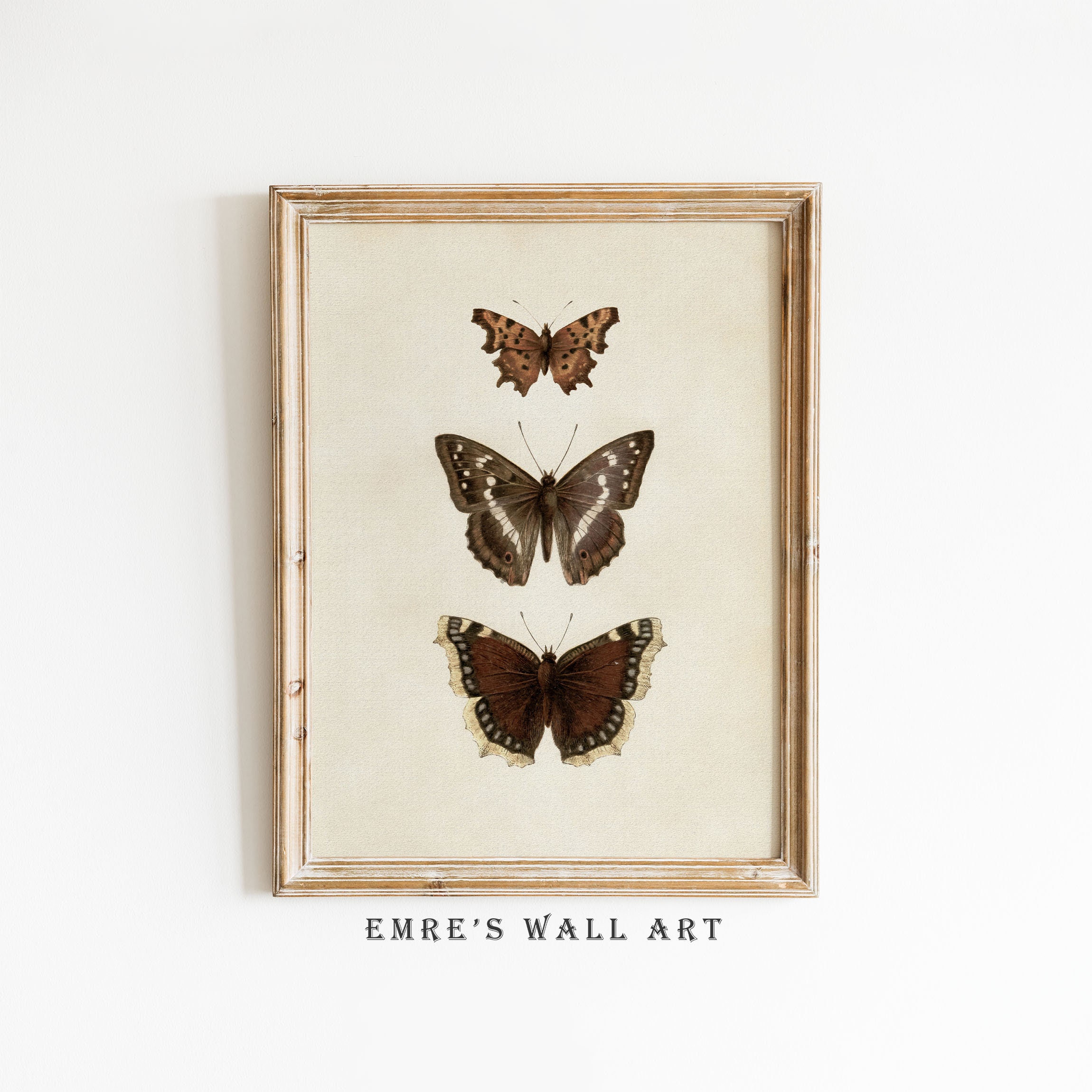 Extra Large Wall Art 3D Butterfly Set of 55 Original White -  UK
