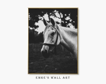 Monochrome Horse Head Photo Print: Farmhouse Animal Wall Art (Digital Download)