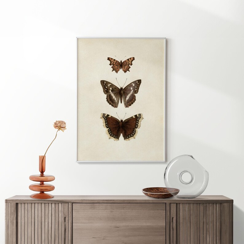 Three vintage butterflies illustration on beige textured background. The top butterfly has jagged wings in light brown, the middle one displays darker brown wings with white spots, and the bottom butterfly has deep brown wings with cream edges. A detailed antique-style sketch evoking natural history and timeless elegance.