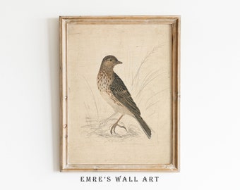 Vintage Bird Sketch Art Print: Neutral Farmhouse Decor (Digital Download)