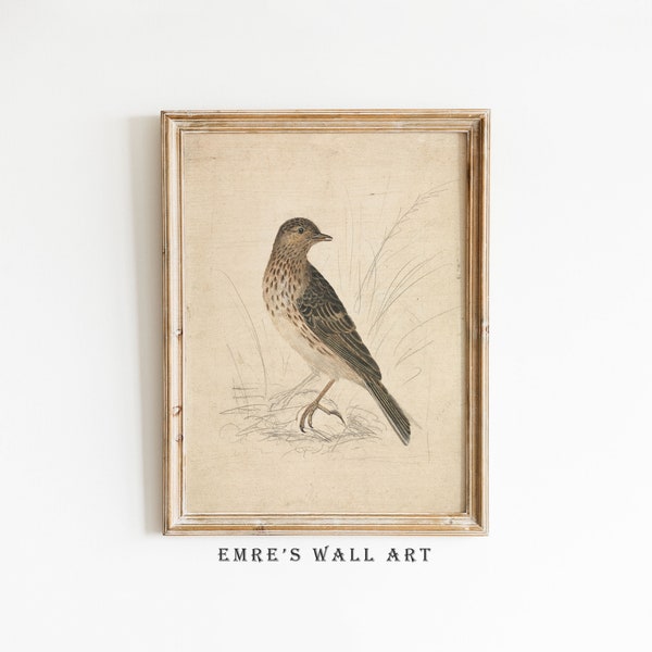 Vintage Bird Art Print, Antique Bird Sketch Art, Neutral Farmhouse Wall Decor, Vintage Country Bird Print, Digital Download