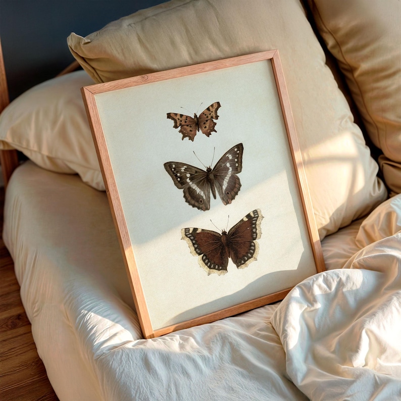 Three vintage butterflies illustration on beige textured background. The top butterfly has jagged wings in light brown, the middle one displays darker brown wings with white spots, and the bottom butterfly has deep brown wings with cream edges. A detailed antique-style sketch evoking natural history and timeless elegance.