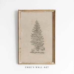 Vintage Pine Tree Sketch Print, Rustic Evergreen Drawing Wall Art, Farmhouse Nature Illustration Digital Download