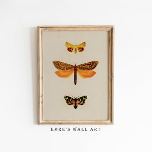 Vintage vlinderprint: eclectische bohokunst aan de muur (digitale download)