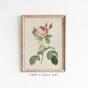 Impresión de rosas vintage, impresión de flores antiguas, pintura floral vintage, decoración de pared de rosas imprimible, arte antiguo descargable digitalmente