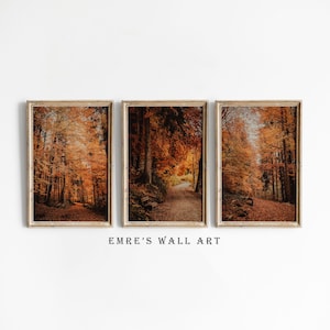 Herbst Foto Set von 3, Herbst Landschaft, Herbst Wald Poster, Herbst Foto Druck, Herbst Wandkunst, Herbst Dekor, Herbst Poster