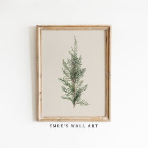 Puede incluir: Una impresión enmarcada de una ilustración botánica de una rama de cedro verde sobre un fondo beige. El marco es de madera clara con un acabado desgastado. El texto "EMRE'S WALL ART" está impreso debajo del marco.