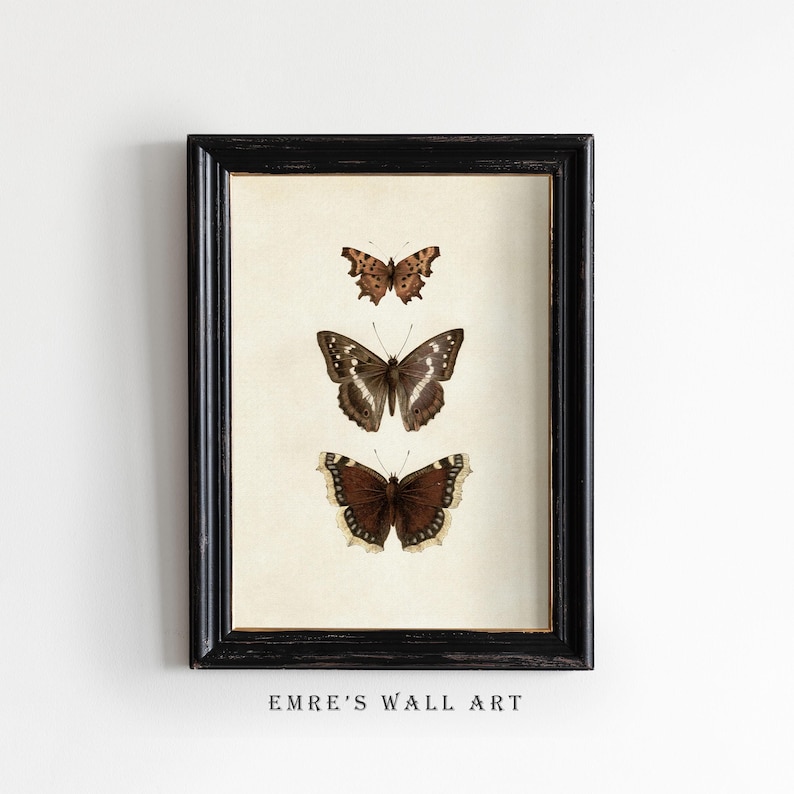 Three vintage butterflies illustration on beige textured background. The top butterfly has jagged wings in light brown, the middle one displays darker brown wings with white spots, and the bottom butterfly has deep brown wings with cream edges. A detailed antique-style sketch evoking natural history and timeless elegance.