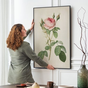 May include: A woman hangs a framed botanical print of a pink rose with green leaves on a white wall.