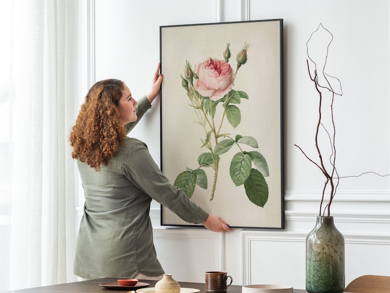 May include: A woman hangs a framed botanical print of a pink rose with green leaves on a white wall.