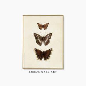 Three vintage butterflies illustration on beige textured background. The top butterfly has jagged wings in light brown, the middle one displays darker brown wings with white spots, and the bottom butterfly has deep brown wings with cream edges. A detailed antique-style sketch evoking natural history and timeless elegance.