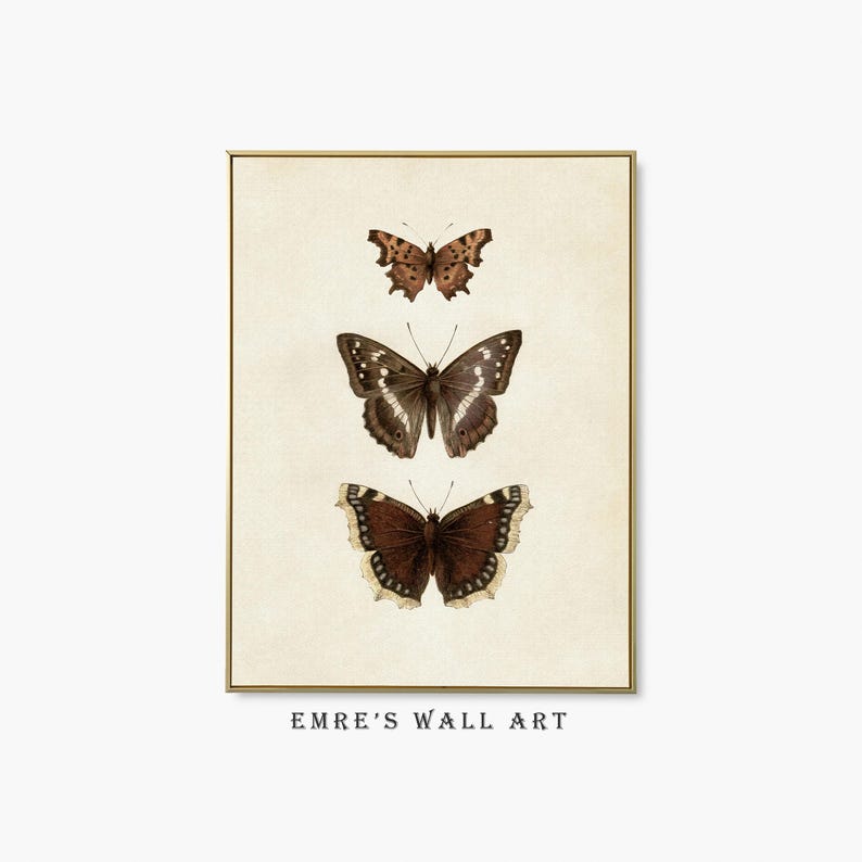 Three vintage butterflies illustration on beige textured background. The top butterfly has jagged wings in light brown, the middle one displays darker brown wings with white spots, and the bottom butterfly has deep brown wings with cream edges. A detailed antique-style sketch evoking natural history and timeless elegance.