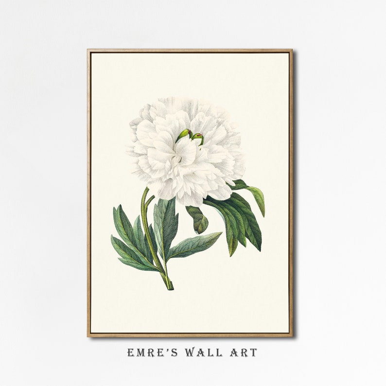 vintage-flower-prints-set-botanical-gallery-wall-art-digital-download