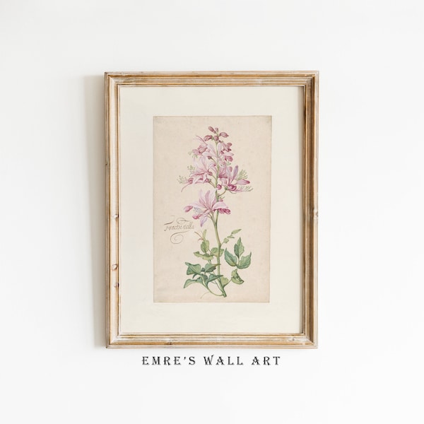 Fraxinella Painting Print, Vintage Flower Wall Decor, Neutral Floral Wall Art, Antique Muted Print, Digital Downloadable Flower Art Print