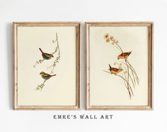 Vogeldruck 2er-Set, Vintage Vogelkunst, druckbare antike Zeichnung, neutrale Vintage Kunst, rustikale Wanddekoration, digital herunterladbare Vintage Kunst